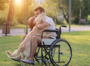 Man in Wheelchair Playing with Dog